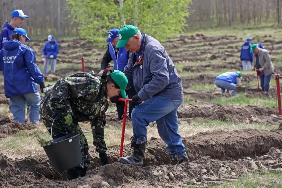 Виктор Томенко: Около 8,5 миллионов деревьев высажены в Алтайском крае за все время проведения ежегодных акций «Сад памяти» Виктор Томенко: Около 8,5 миллионов деревьев высажены в Алтайском крае за все время проведения ежегодных акций «Сад памяти»
