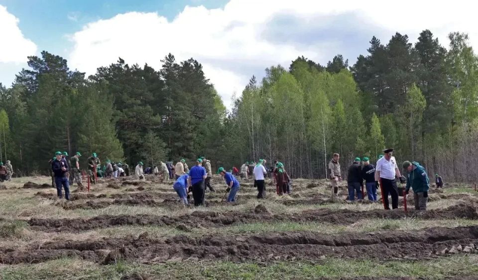 Губернатор Алтайского края Виктор Томенко принял участие в патриотической акции «Сад Памяти» Губернатор Алтайского края Виктор Томенко принял участие в патриотической акции «Сад Памяти»