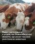 � ������������� ������� ���������� ����������� ������� ����� ����� ��������� ����������� �������� � ����� �� ���������� ��������