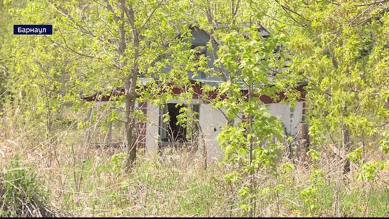 История с проданными дачными участками в СНТ «Барнаульское» получила продолжение