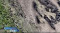 � ������������ ���� �������� � ������������ ������ �������� ������� ������� ������ ����