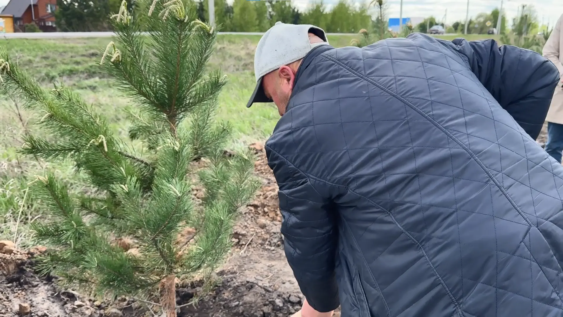 В барнаульском коттеджном посёлке высадили 300 именных сосен В барнаульском коттеджном посёлке высадили 300 именных сосен