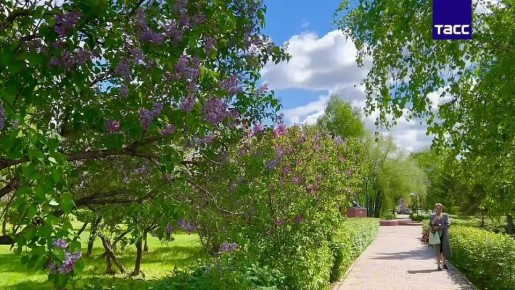 В Барнаул после похолодания возвращается тепло