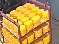 В Барнауле осудят двух работников молочного предприятия за кражу более 700 килограммов сыра