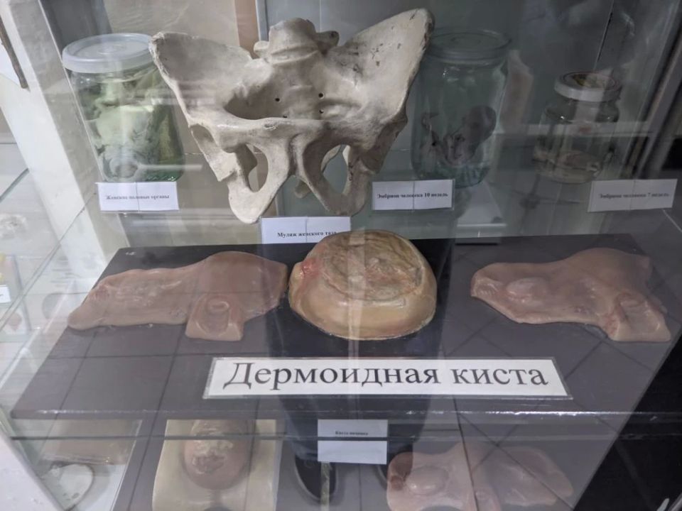 В музее Медицинского университета можно от сглаза полечиться и на эмбрионов посмотреть В музее Медицинского университета можно от сглаза полечиться и на эмбрионов посмотреть