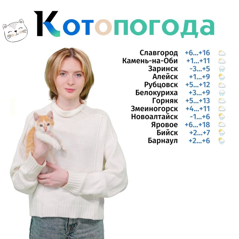 Доброе утро, Алтайский край! Знакомьтесь с новыми ведущими «Котопогоды» на телеканале «Катунь 24»