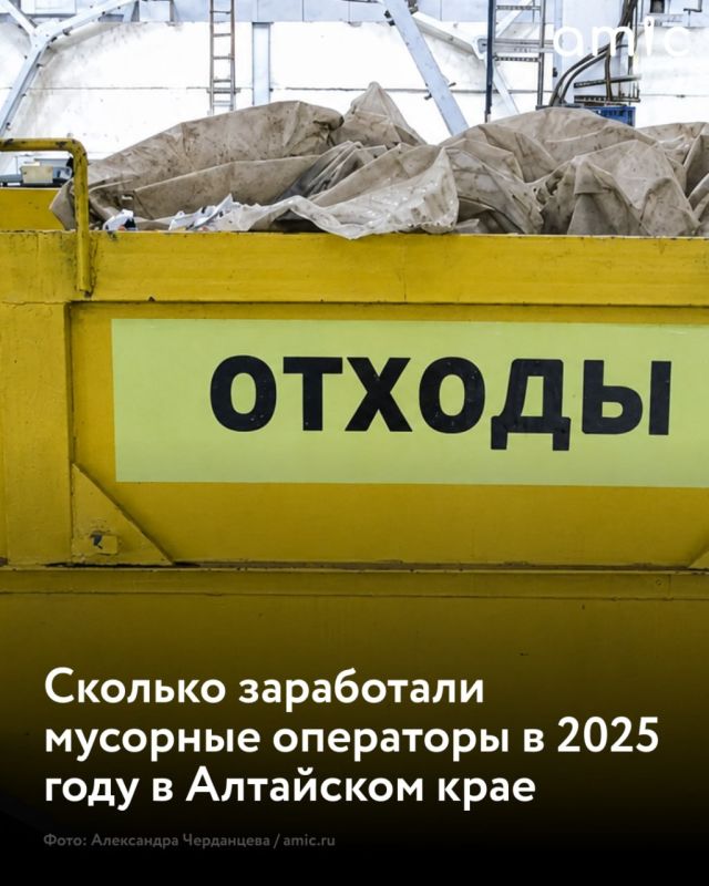 Выручка пяти мусорных операторов, обслуживающих Алтайский край, в 2025 году в сумме составила более 2,7 млрд рублей, а общая прибыль — 94,3 млн рублей, пишет "Атмосфера"