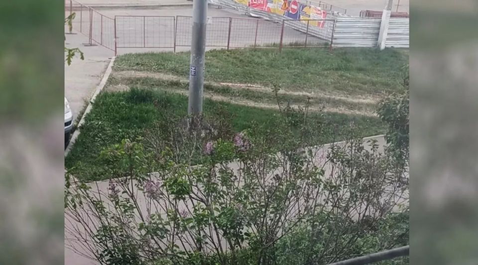 Не по двору, так по газону