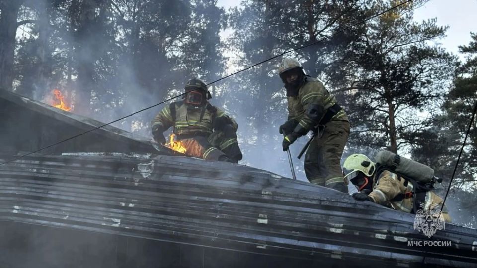 Пожар локализован. Пожар в детском оздоровительном лагере локализован на площади порядка 300 квадратов Пожар локализован. Пожар в детском оздоровительном лагере локализован на площади порядка 300 квадратов