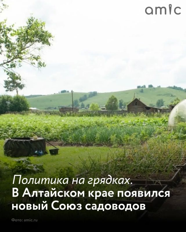 В регионе появилась новая общественная организация "Союз садоводов Алтая", намеренная объединить владельцев участков в СНТ и повести их на борьбу с распространенными, по мнению руководства союза, проблемами этой сферы