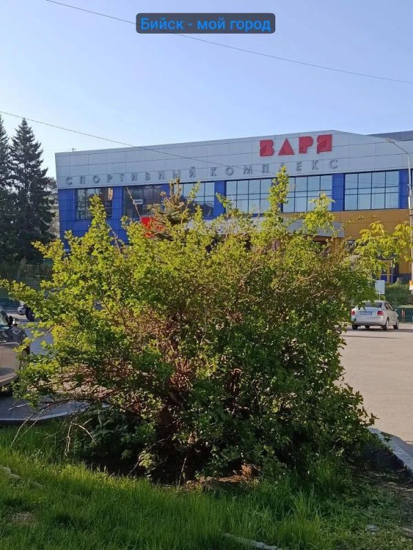Пост благодарности от подписчиков: