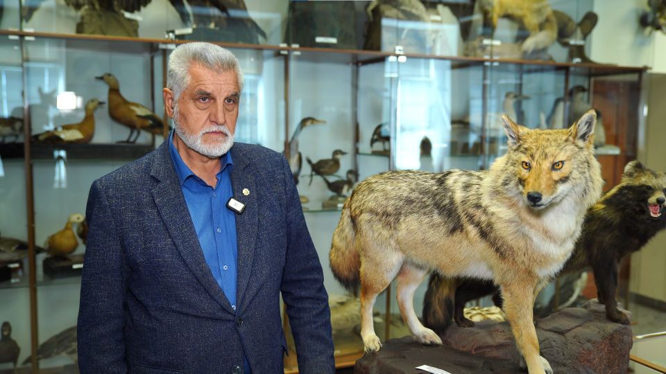 В Алтайском крае поймали шакала: первый случай в Сибири