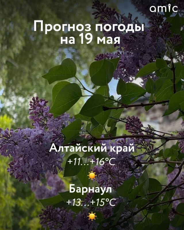 Доброе утро! О погоде в Алтайском крае 19 мая