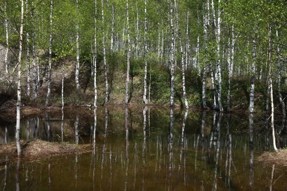 Алтайский Салаир в разгар весны Алтайский Салаир в разгар весны
