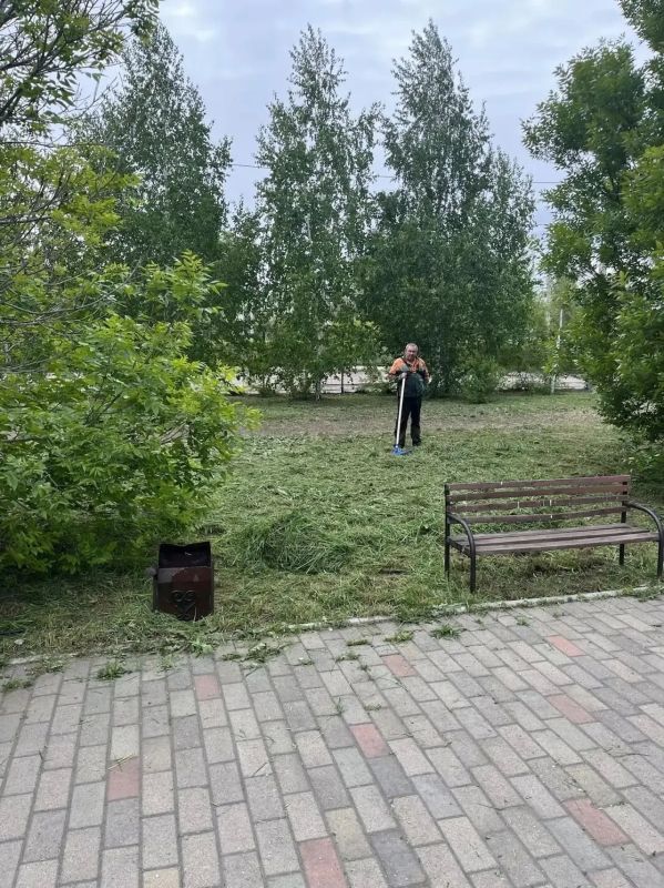 Доброе утро, Рубцовск!. Погодные условия не очень радуют теплом, а вот трава растёт быстро Доброе утро, Рубцовск!. Погодные условия не очень радуют теплом, а вот трава растёт быстро