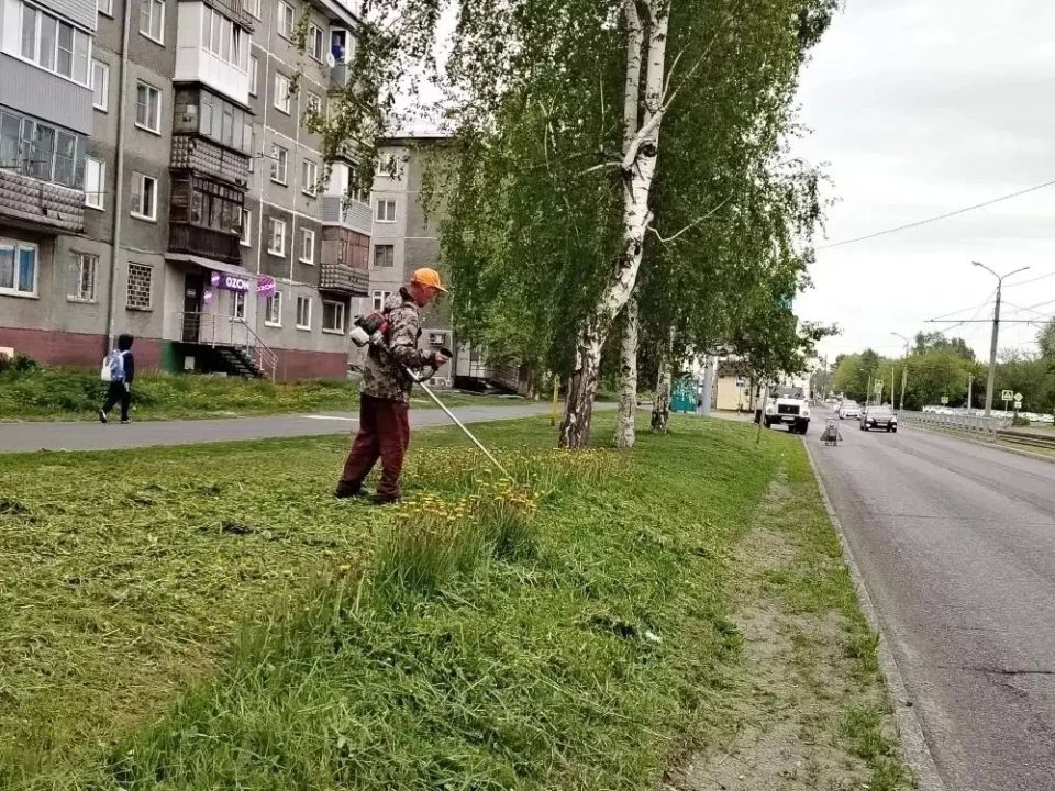 В Барнауле приводят в порядок участки вдоль обочин дорог В Барнауле приводят в порядок участки вдоль обочин дорог