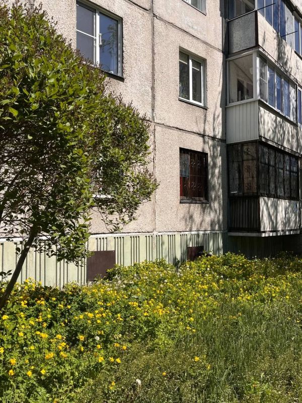 Доброе утро! Нас ждёт прохладный день Доброе утро! Нас ждёт прохладный день