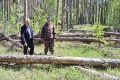 Сергей Серов рассказал о проблемах, с которыми сталкиваются в районах края при очистке леса от ветровальной древесины