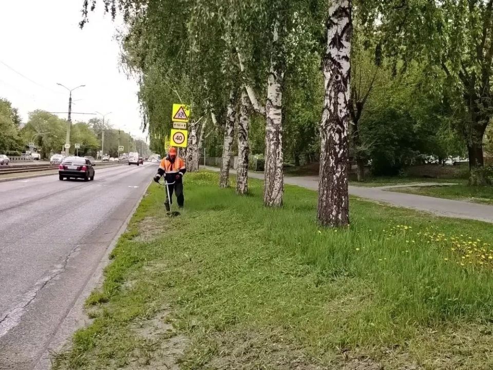 В Барнауле приводят в порядок участки вдоль обочин дорог