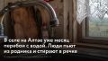В селе Новокаменка в Ельцовском районе Алтайского края уже почти месяц огромные проблемы с водой