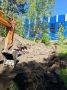 Тяжёлая техника работает в лесопарковой зоне АБ