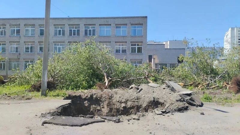 центре Барнаула рядом со школой уничтожили аллею яблонь из-за ремонта теплосетей центре Барнаула рядом со школой уничтожили аллею яблонь из-за ремонта теплосетей