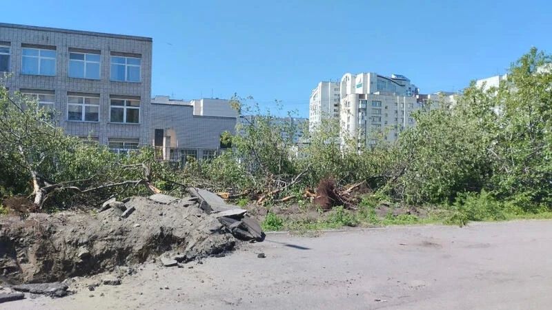 центре Барнаула рядом со школой уничтожили аллею яблонь из-за ремонта теплосетей центре Барнаула рядом со школой уничтожили аллею яблонь из-за ремонта теплосетей