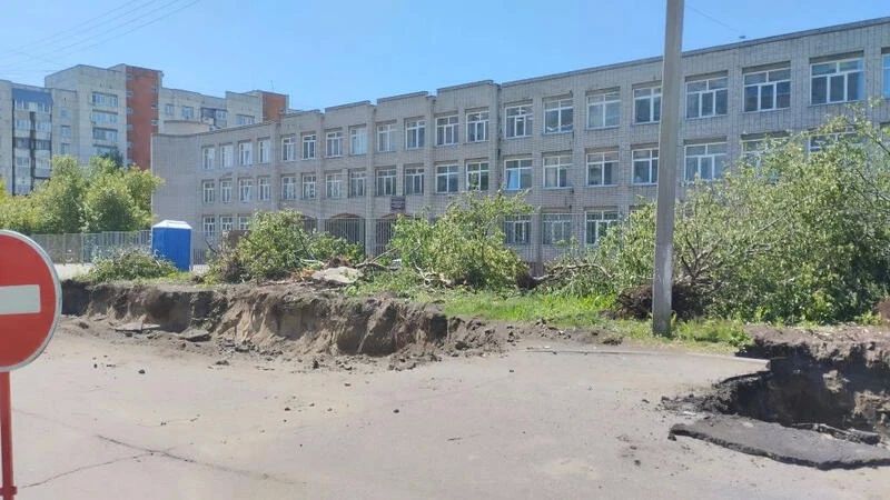 центре Барнаула рядом со школой уничтожили аллею яблонь из-за ремонта теплосетей