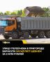 Коттеджный поселок Фирсово ждет ремонт дороги