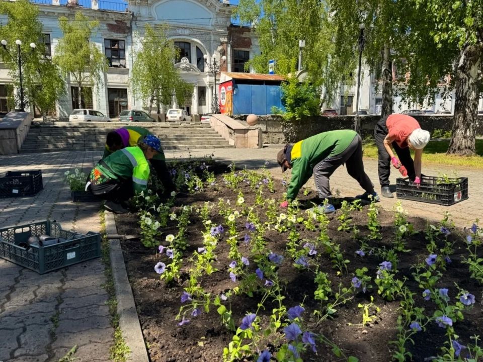 В Бийске стартовала высадка цветов В Бийске стартовала высадка цветов