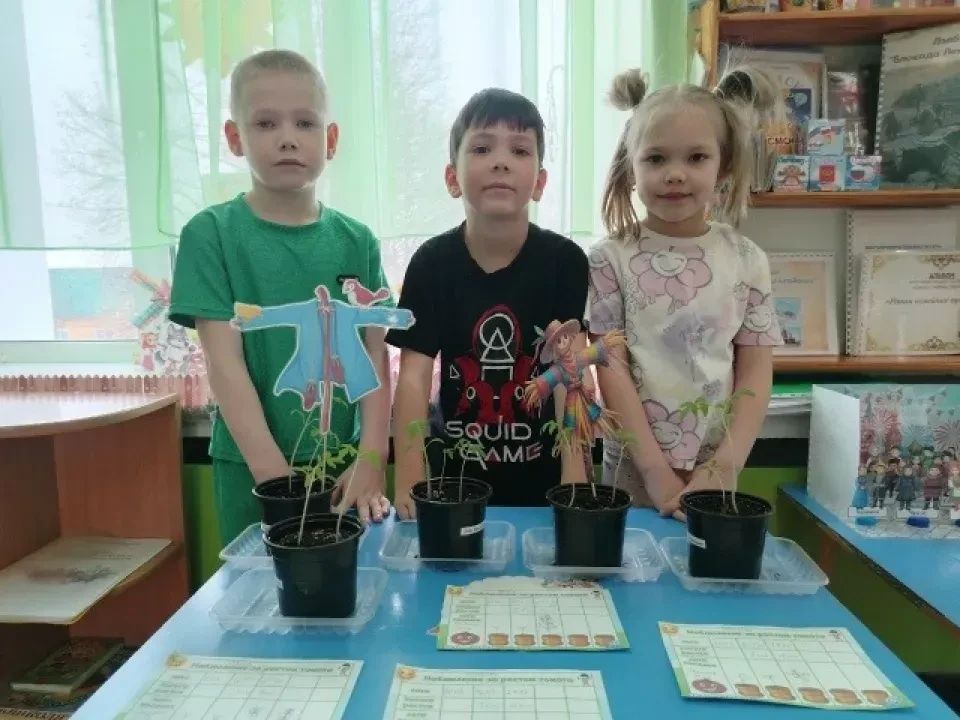 «Лучшая группа детского сада»: кто победил в онлайн-голосовании