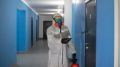 Микробиолог назвал опасности "алтайского" хантавируса