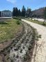Сегодня в Рубцовске началась традиционная посадка цветов