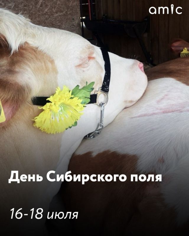 Девять ярких фестивалей грядущего лета! Сохрани, чтобы не пропустить Девять ярких фестивалей грядущего лета! Сохрани, чтобы не пропустить