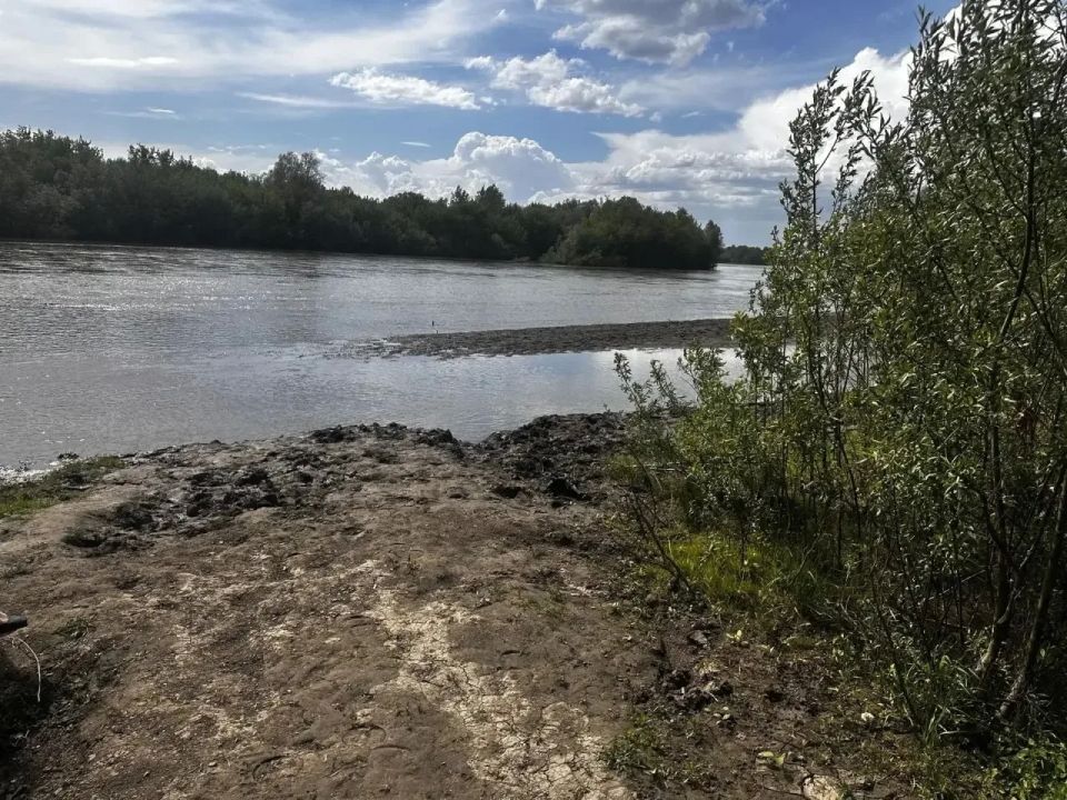 11-летний мальчик утонул в Смоленском районе 11-летний мальчик утонул в Смоленском районе