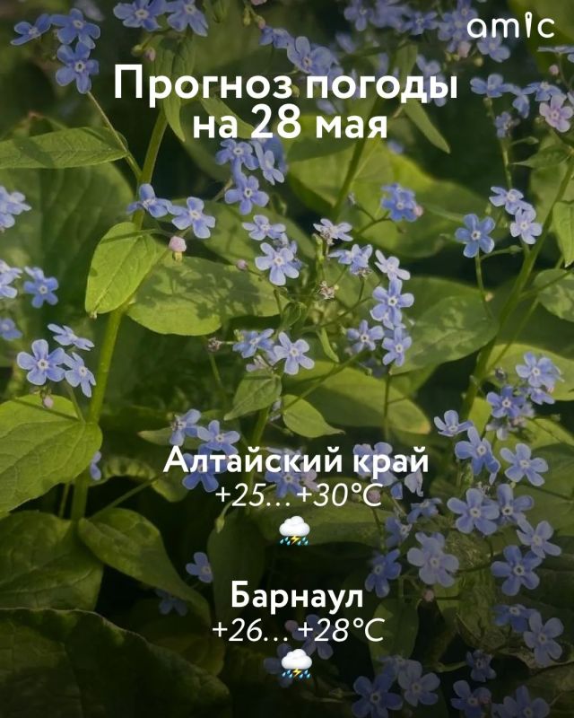 От +25 до +30 градусов составит температура в Алтайском крае днем 28 мая, следует из прогноза регионального Гидрометцентра
