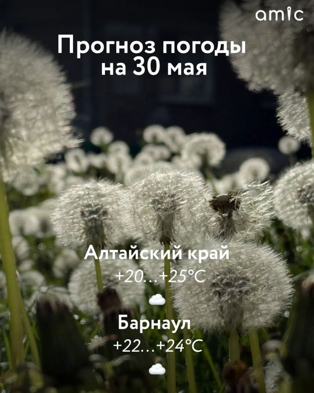 Местами небольшие дожди и +30
