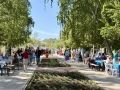 В парке "Центральный" проходит масштабный праздник ко Дню защиты детей