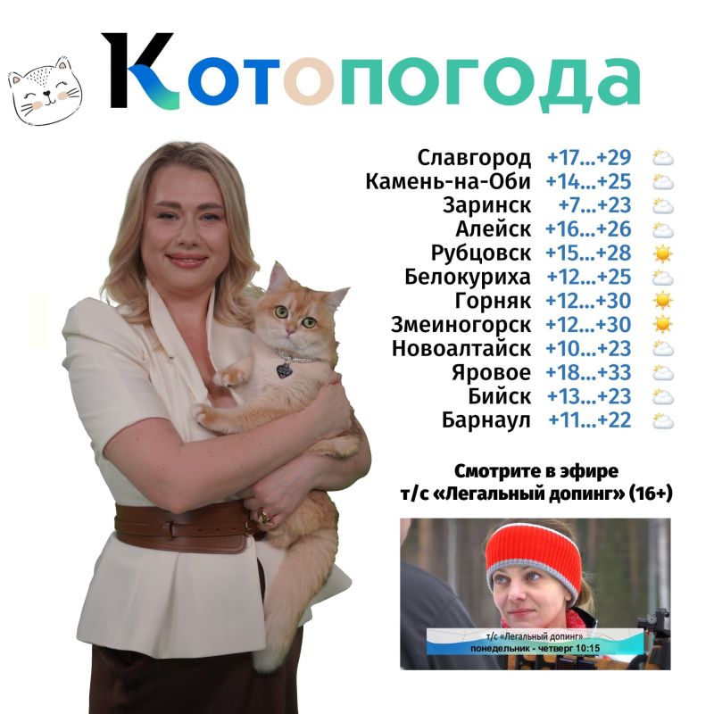 Знаете, почему у британских кошек такие серьёзные мордочки?