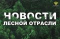 Интерфакс: Рослесхоз направит дополнительные силы для тушения лесных пожаров в Хабаровском крае