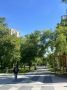 Второй день лета в Алтайском крае будет жарким