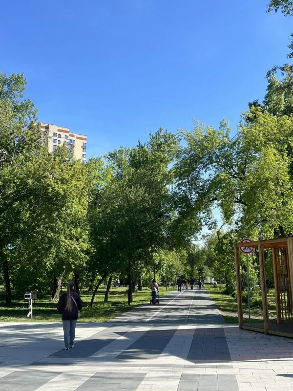Второй день лета в Алтайском крае будет жарким