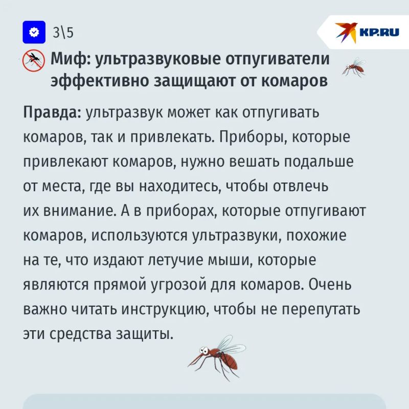 А вас кусают комары? Развенчиваем популярные мифы о кровопийцах А вас кусают комары? Развенчиваем популярные мифы о кровопийцах