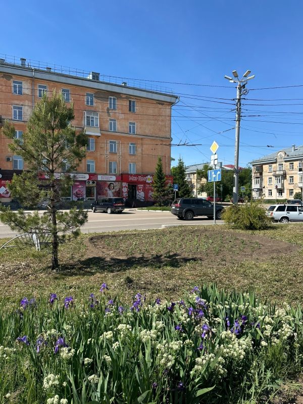 Популярные публикации за прошедшую неделю в социальных сетях Администрации города Рубцовска Популярные публикации за прошедшую неделю в социальных сетях Администрации города Рубцовска