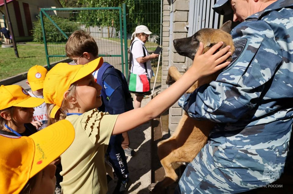 Уши, лапы, хвост: в гостях у кинологов и в поисках командного духа! Уши, лапы, хвост: в гостях у кинологов и в поисках командного духа!