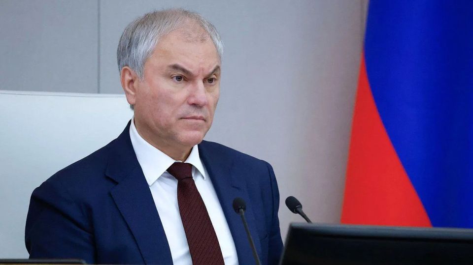 Вячеслав Володин рассказал об эффективности заработавшего год назад закона по борьбе с кибермошенниками