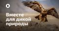 �������, � ���� �������, �������� ����������� � ������ �������������� ������� ������� ��� ����� ��������