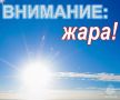 Аномальная жара и высокая пожароопасность в Алтайском крае