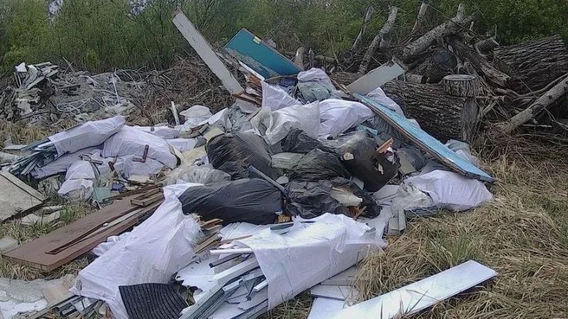 Незаконную свалку на 400 "квадратов" нашли возле Фирсово в Алтайском крае