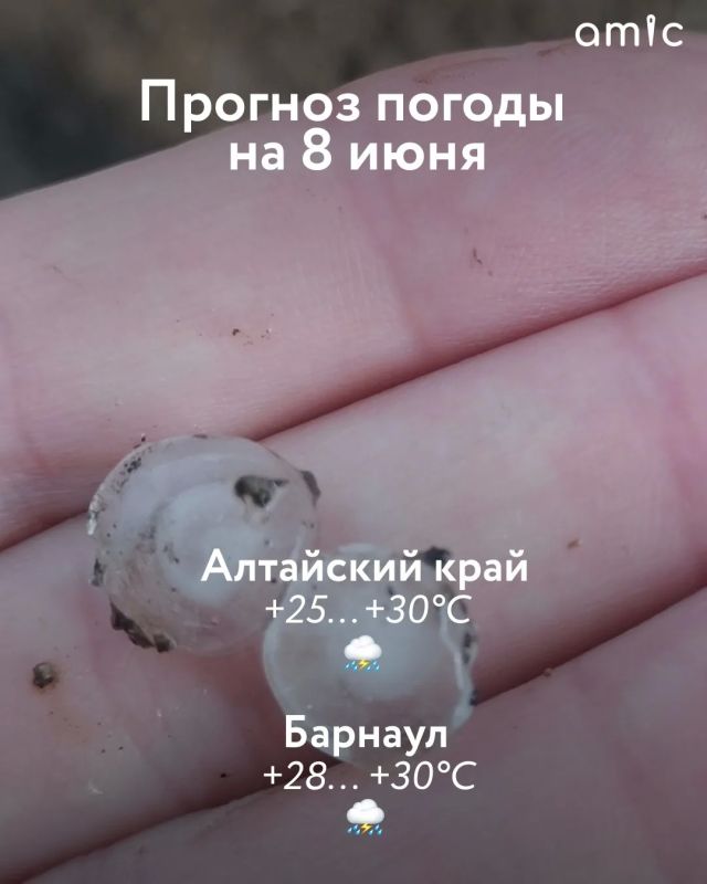 Грозы, град и жара. Какая погода ждет Алтайский край 8 июня
